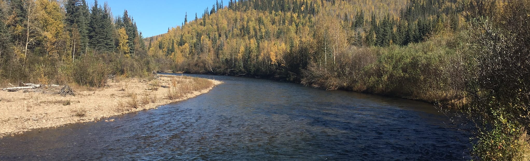 Upper Chena River Main Stem Paddle, Alaska Map, Guide AllTrails