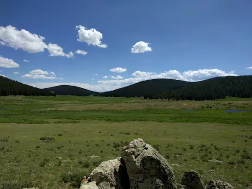 are dogs allowed in buffalo peak wilderness