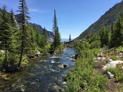 10 Best Hikes and Trails in Bitterroot National Forest | AllTrails