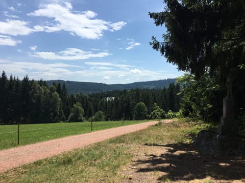 Westweg Etappe 9 West: Kalte Herberge - Hinterzarten