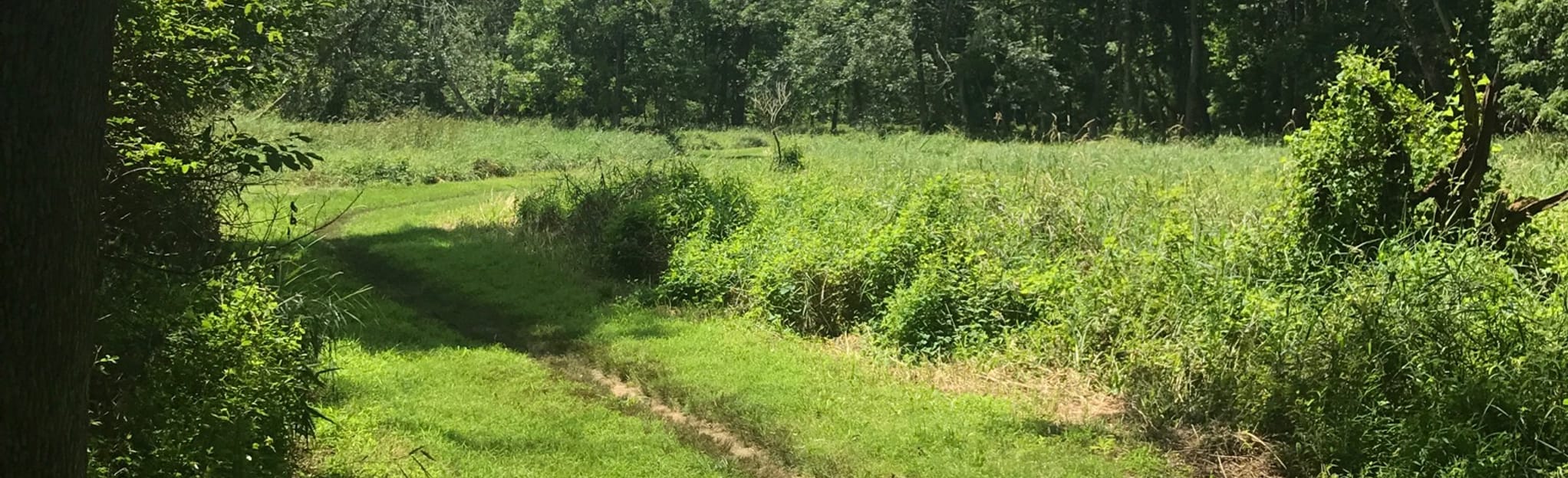 Seneca Creek Greenway Trail Upper Section, Maryland 248 Reviews, Map