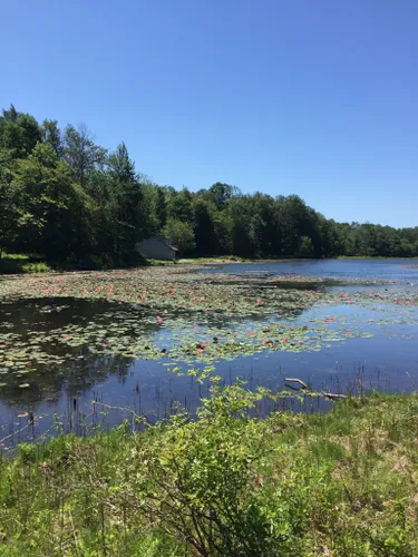 10 Best Trails and Hikes in Buffalo | AllTrails