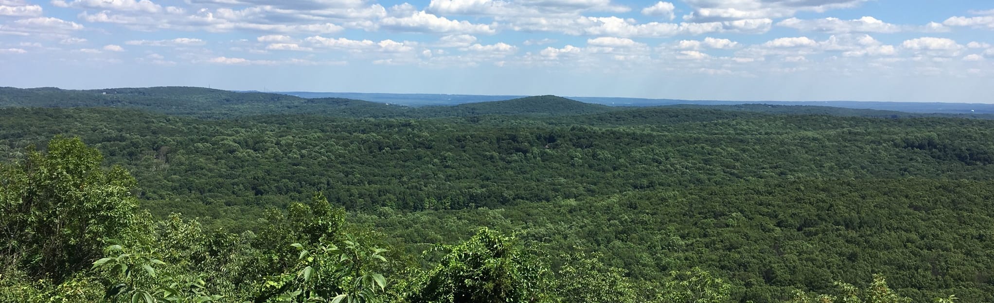 Wildcat Ridge Hawkwatch Trail: 393 Reviews, Map - New Jersey | AllTrails
