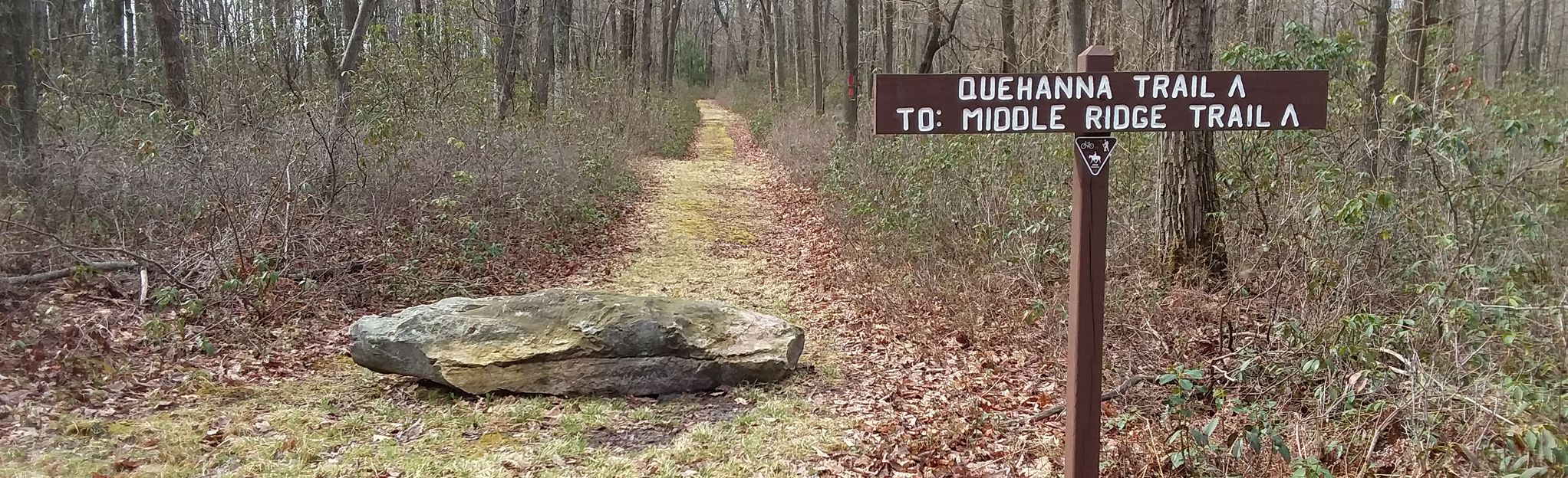 Quehanna Trail, Mohawk Trail Loop , Pennsylvania 8 Reviews, Map