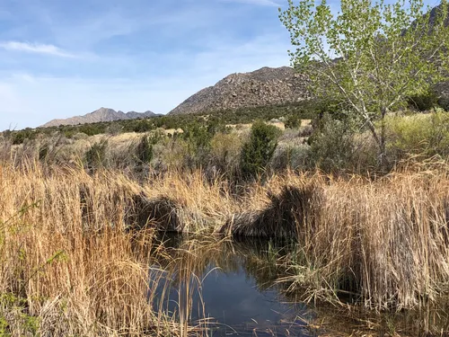 10 Best Hikes and Trails in Elena Gallegos Picnic Area/Albert G. Simms ...