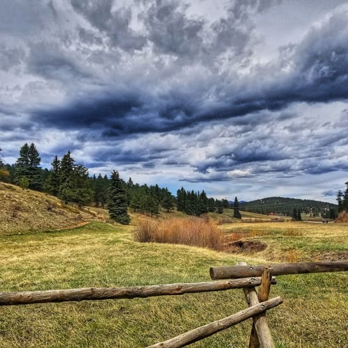 2023 Best Forest Trails in Flying J Ranch Park | AllTrails