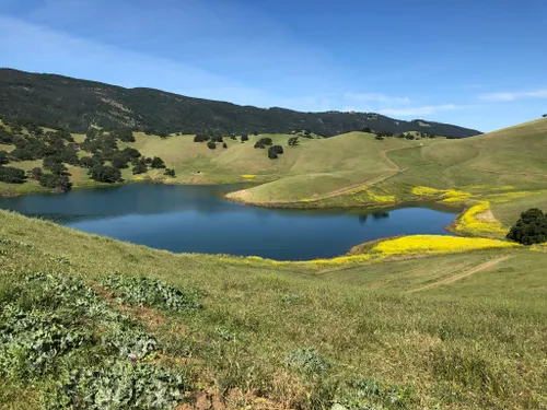 10 Best Hikes and Trails in Los Vaqueros Reservoir and Watershed ...