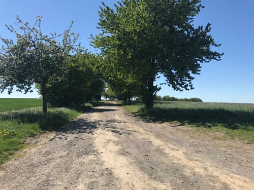 Billerbeck Rundweg B4
