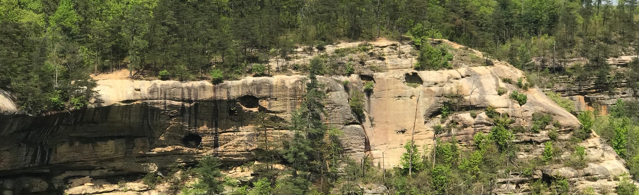 Koomer Ridge Trail to Indian Staircase Map, Guide Kentucky AllTrails