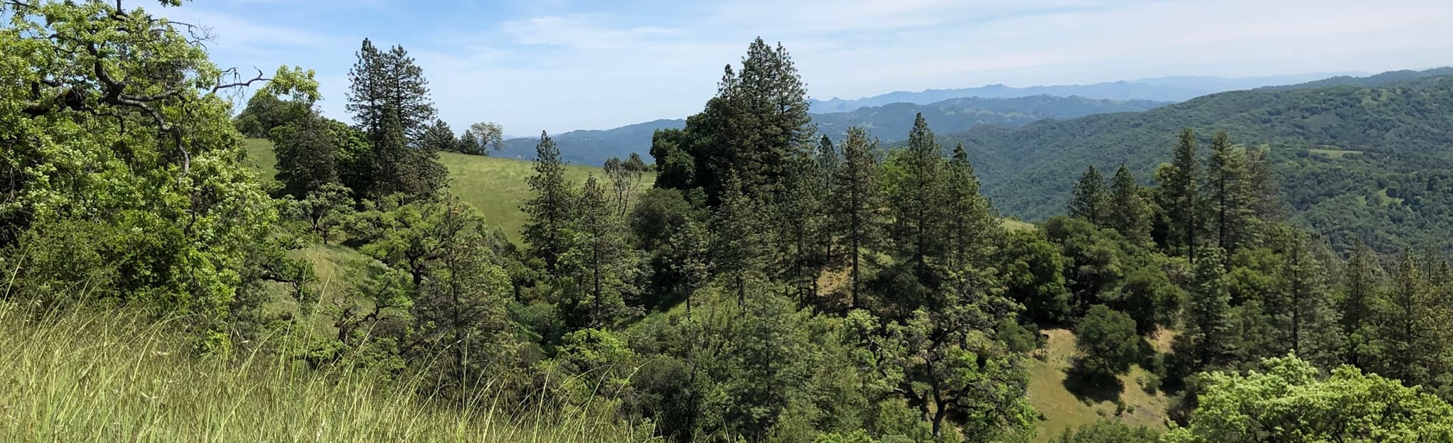 Ponderosa Loop Trail 63 Reviews, Map California AllTrails