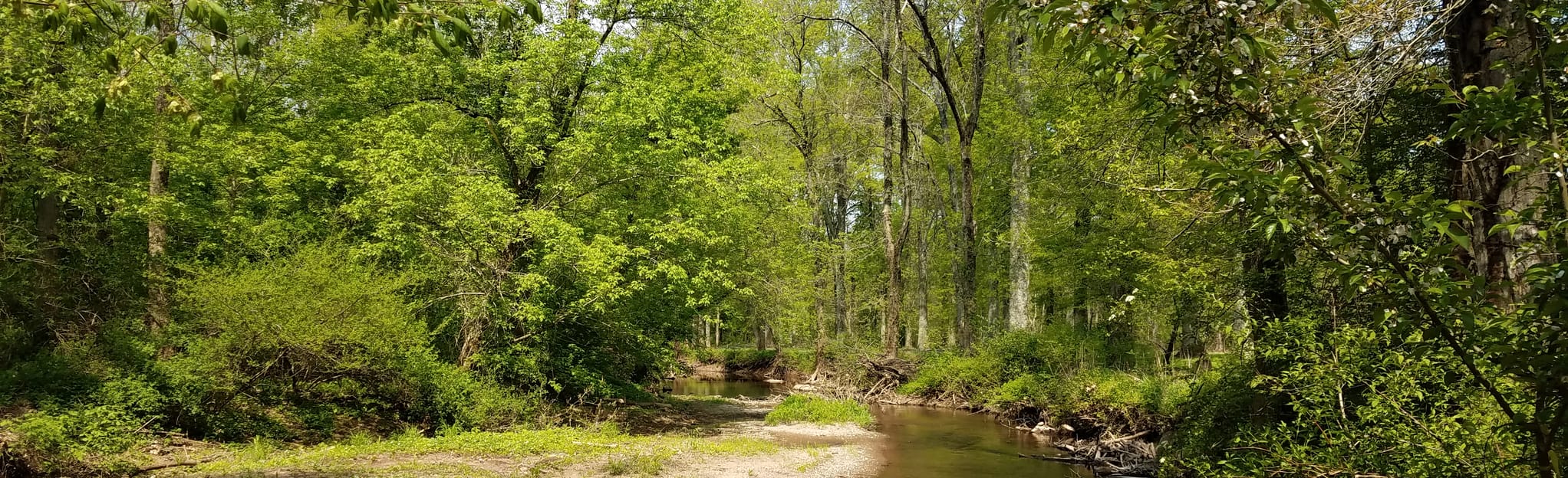 Six Mile Run Reservoir Red and Orange Trails, 790 Photos New Jersey
