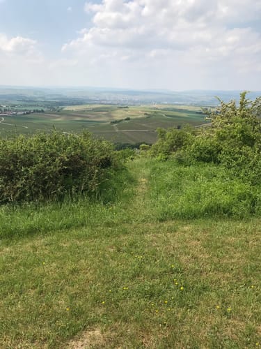 Durch die Rheinhessische Toscana