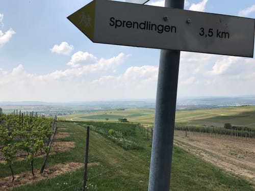 Durch die Rheinhessische Toscana