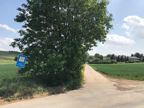 Durch die Rheinhessische Toscana