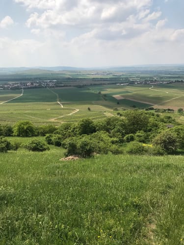 Durch die Rheinhessische Toscana