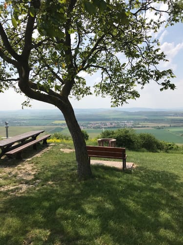 Durch die Rheinhessische Toscana