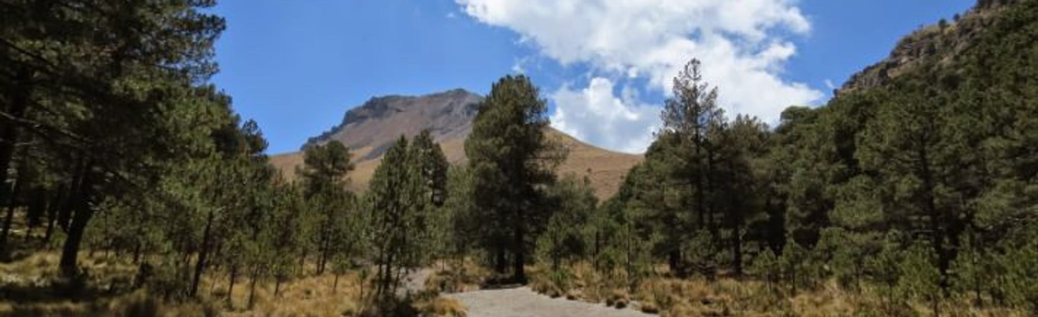 La Malinche 361 fotos Tlaxcala, México AllTrails