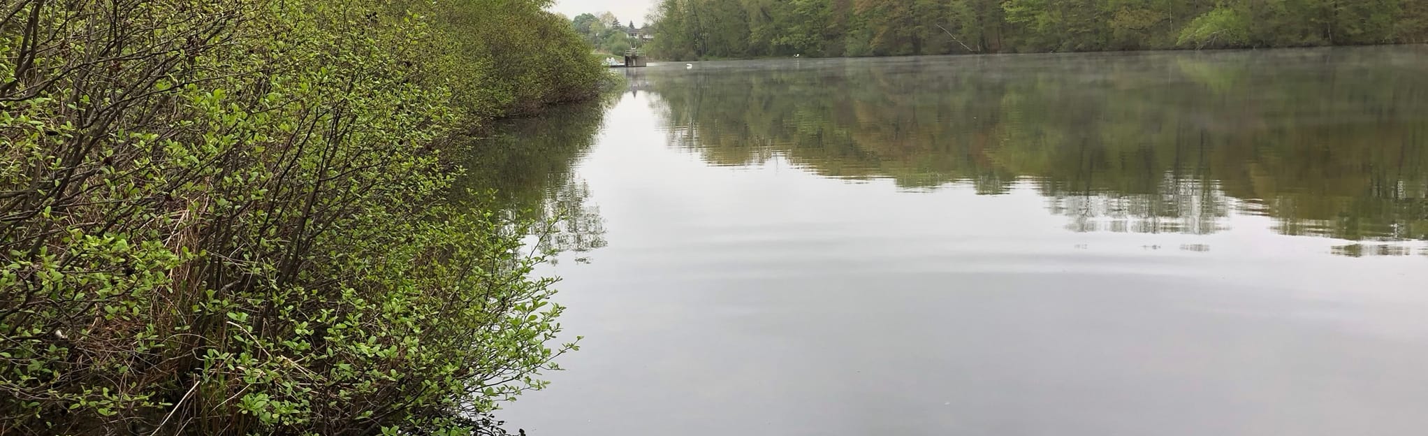 Earl Reservoir Loop New York AllTrails