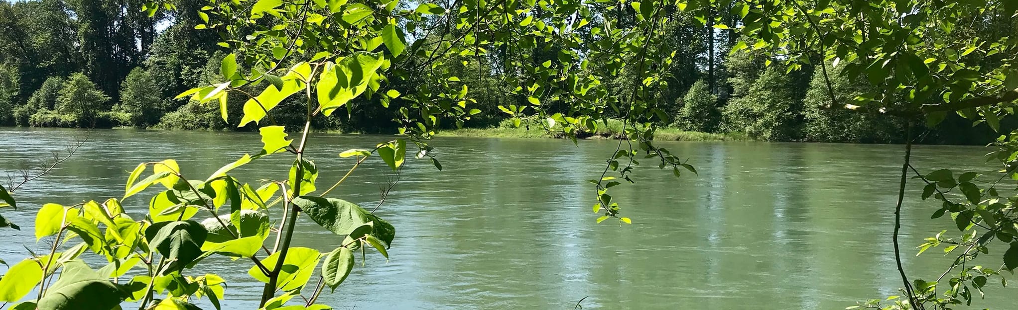 Meet Cutter to River Trail Loop, Washington 567 Reviews, Map AllTrails