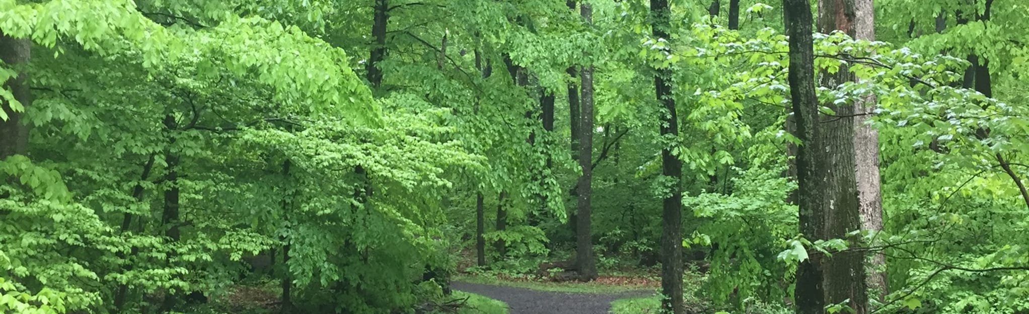 Cedar Hill Trail Loop 76 Reviews, Map Pennsylvania AllTrails