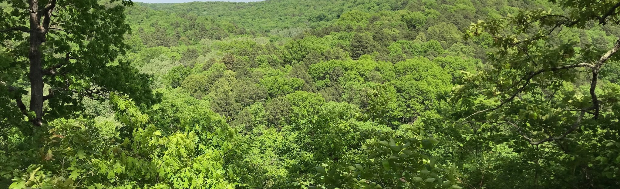 Blue Buck Knob Scenic Byway, Missouri 5 Reviews, Map AllTrails