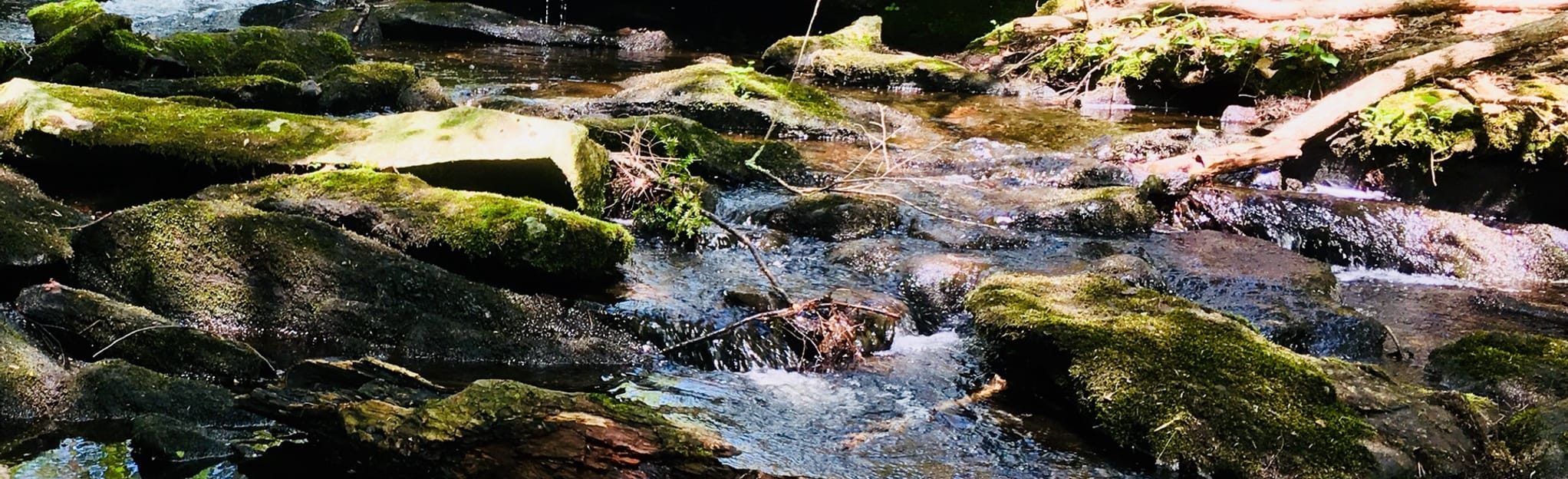 Pixie Falls and Ladies Room Rock, Connecticut 311 Reviews, Map