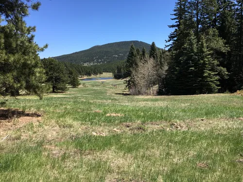 Best Hikes and Trails in Flying J Ranch Park | AllTrails