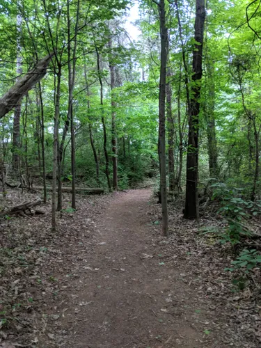 Best Hikes And Trails In Concord Park 