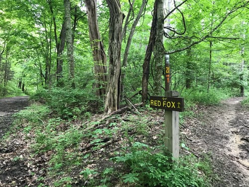 East Fork Hiking Trails Best 10 Trails In East Fork State Park | Alltrails