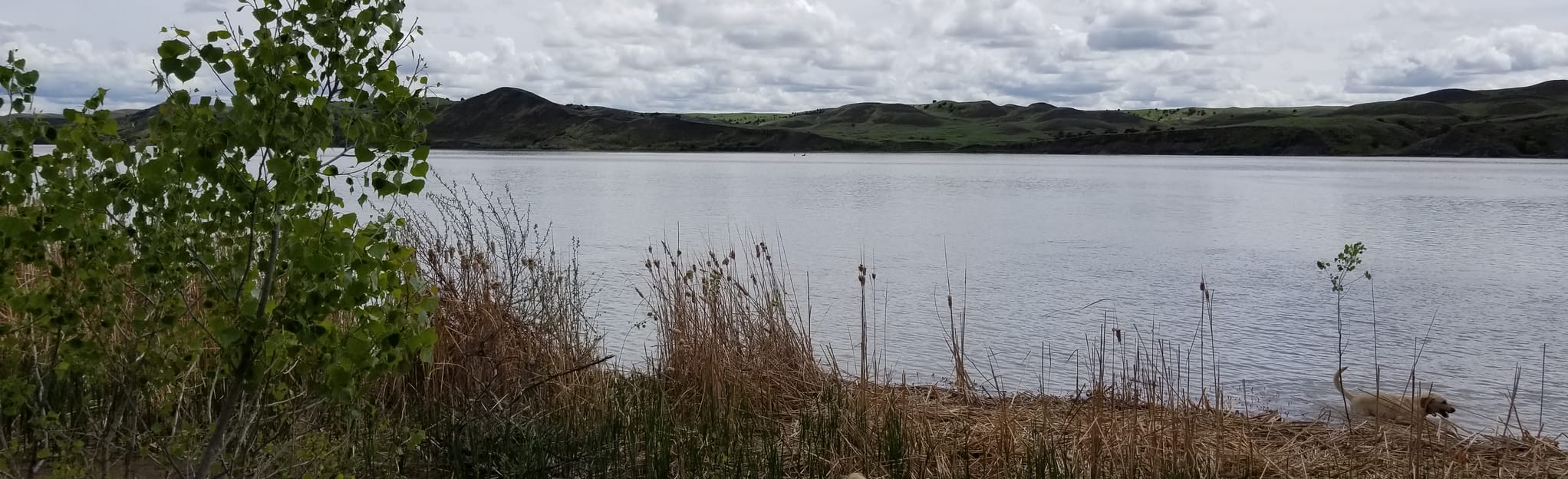 Farm Island Recreation Area 45 Reviews, Map South Dakota AllTrails