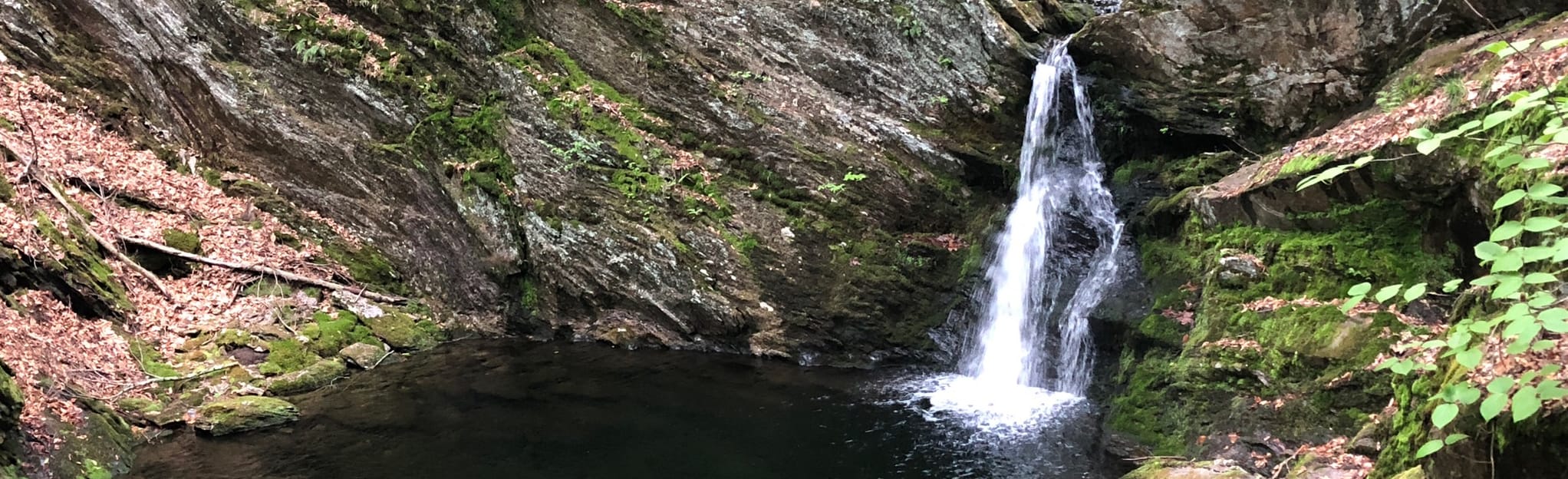 Laurel Lane, Country Road, Charcoal Kiln, and Pitcher Brook Loop 113