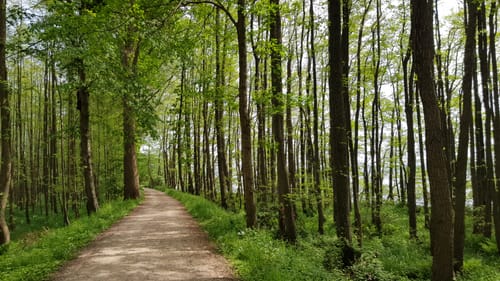 Noorwanderweg