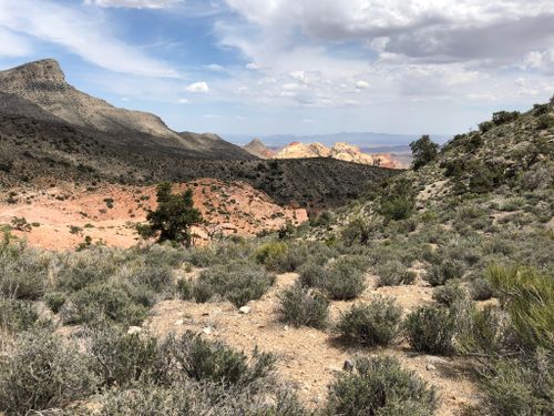 2023 Best 10 Kid Friendly Trails in Las Vegas | AllTrails