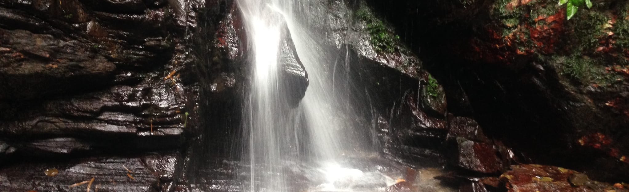 Caura Waterfall, TunapunaPiarcoal, Trinidad and Tobago 3 Reviews