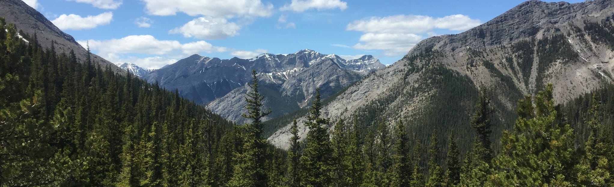 Baldy Pass Trail to Midnight Mountain Ridge Lookout 889 foto's Alberta, Canada AllTrails