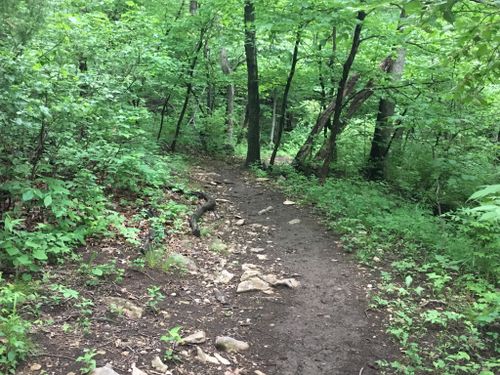 2023 Best 10 Trail Running Trails in Kansas City | AllTrails