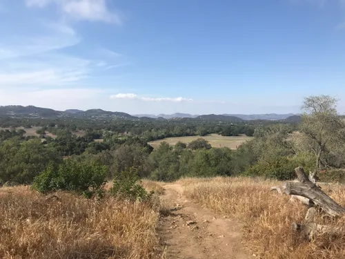 are dogs allowed at santa rosa plateau