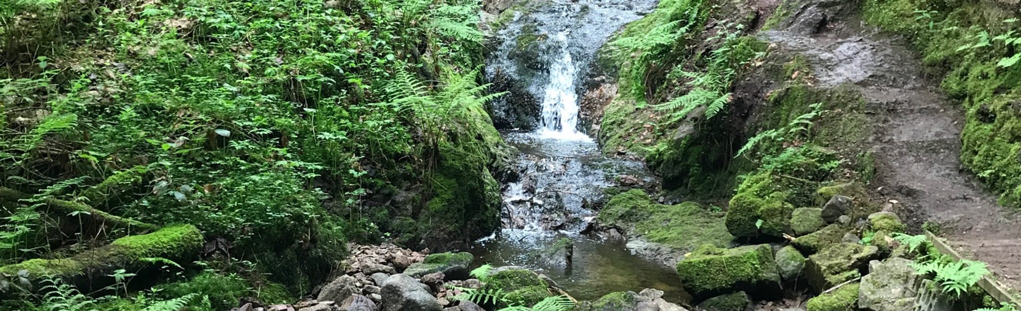 Lac de Gérardmer Col de Sapois 122 Reviews, Map Vosges, France