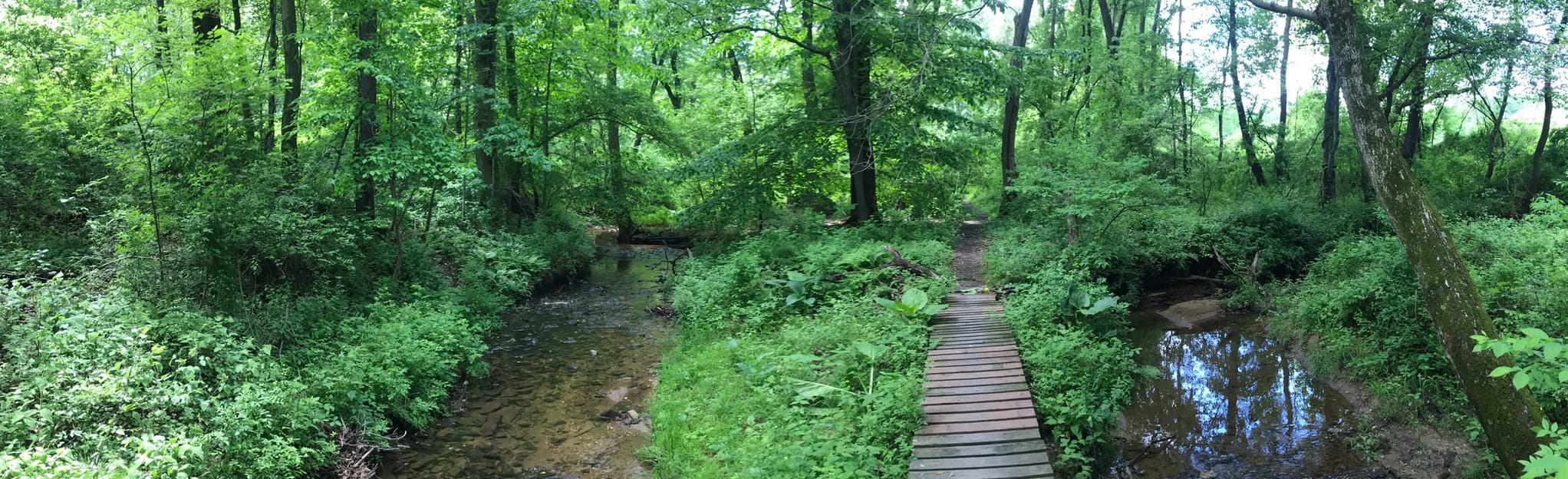 Core Creek Park Trail, Pennsylvania 1,320 Reviews, Map AllTrails