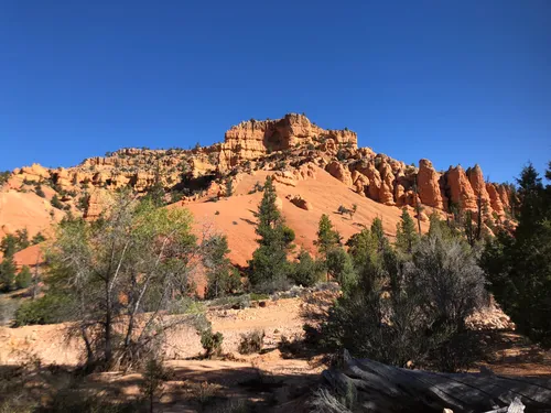10 Best Hikes and Trails in Dixie National Forest AllTrails