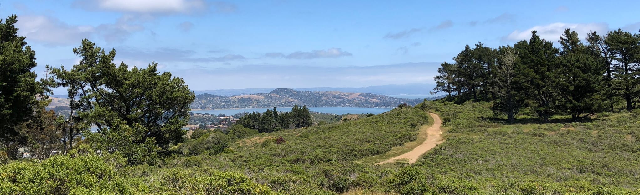 Miwok Trail to Fox Trail Loop - EyJidWNrZXQiOiJhc3NldHMuYWxsdHJhaWxzLmNvbSIsImtleSI6InVwbG9hZHMvcGhvdG8vaW1hZ2UvMjA1MjE0ODQvNTkwNzY3YTMzYjc1M2NiYTRjNjY3MDA5YzkyMjVmN2EuanBnIiwiZWRpdHMiOnsidG9Gb3JtYXQiOiJqcGVnIiwicmVzaXplIjp7IndpZHRoIjoyMDQ0LCJoZWlnaHQiOjYyNCwiZml0IjoiY292ZXIifSwicm90YXRlIjpudWxsLCJqcGVnIjp7InRyZWxsaXNRdWFudGlzYXRpb24iOnRydWUsIm92ZXJzaG9vdERlcmluZ2luZyI6dHJ1ZSwib3B0aW1pc2VTY2FucyI6dHJ1ZSwicXVhbnRpc2F0aW9uVGFibGUiOjN9fX0=