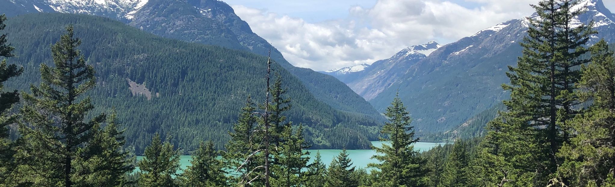 Diablo Lake Trail, Washington - 1,409 Reviews, Map | AllTrails