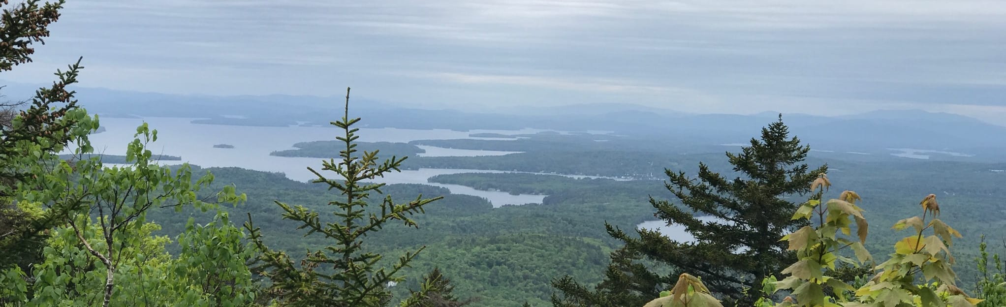 Copple Crown Mountain: 504 Reviews, Map - New Hampshire | AllTrails