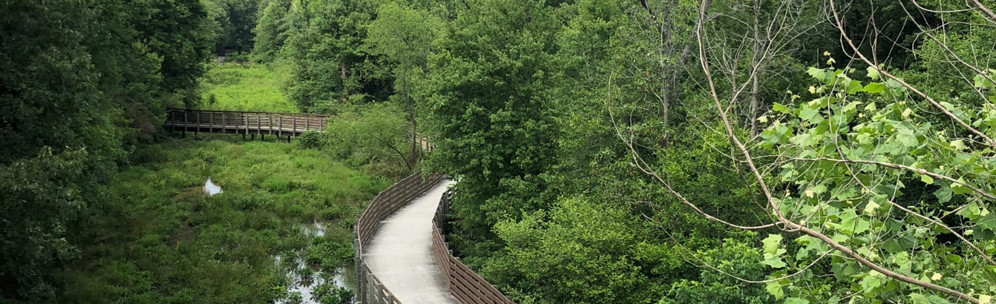 Lucille Creek Trail 237 Reviews, Map AllTrails