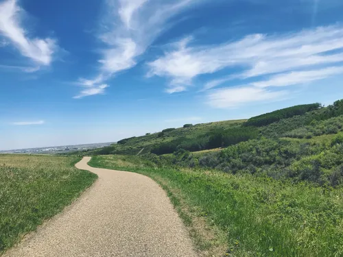 Nose hill bike trails new arrivals