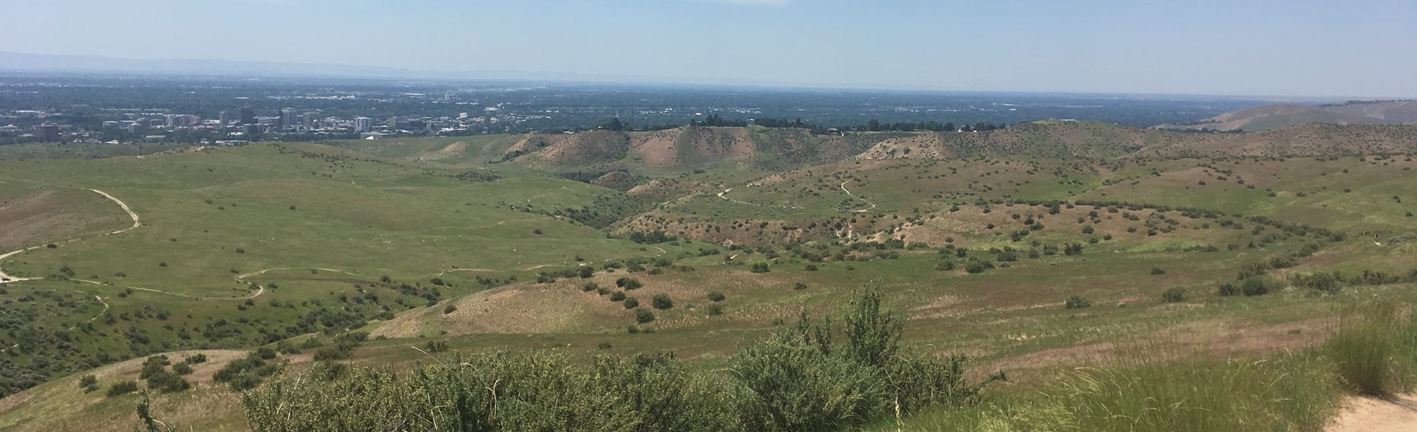 Freestone Ridge, Femrite's Patrol, 3 Bears Loop, Idaho 43 Reviews