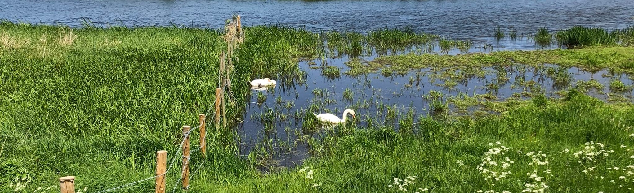 Lakenheath Fen 20 Reviews, Map Suffolk, England AllTrails