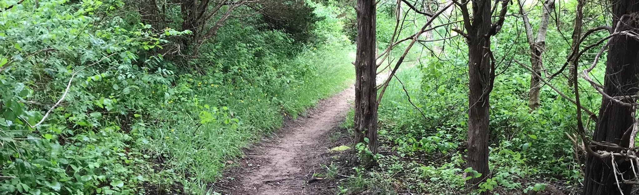 nauset bike trail