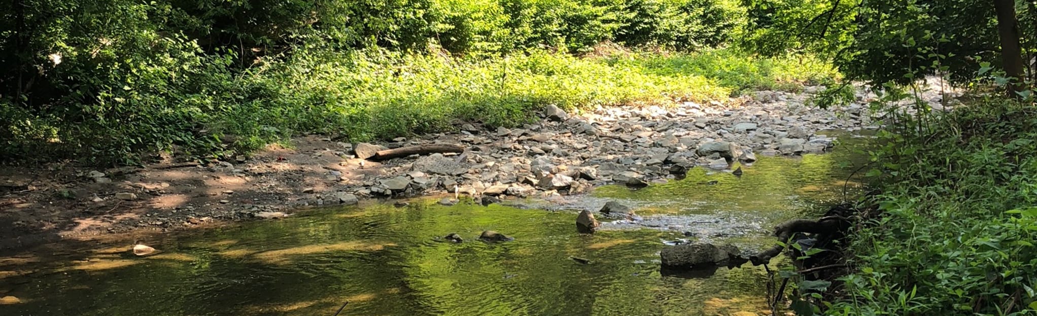 Beechview Seldom Seen Greenway Trail, Pennsylvania 54 Reviews, Map AllTrails