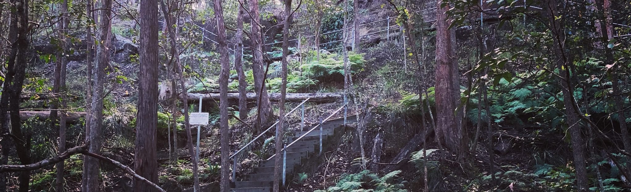 Spur Track and Discovery Circuit, Queensland, Australia 107